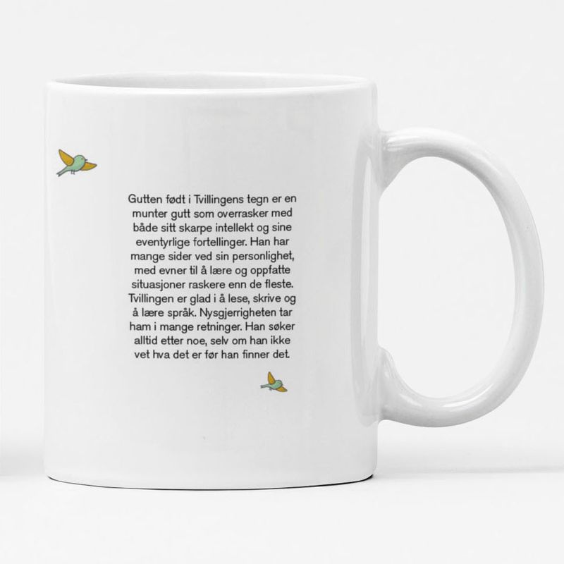 Stjernetegn: Tvillingen gutt
