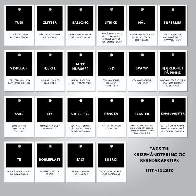 Hovedbilde Beredskap og Krisehåndtering - 22 pk