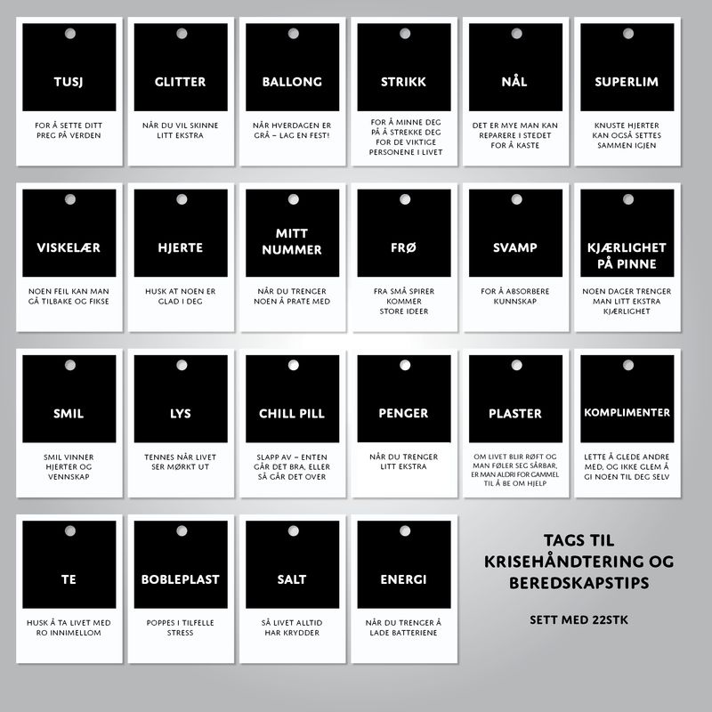 Beredskap og Krisehåndtering - 22 pk