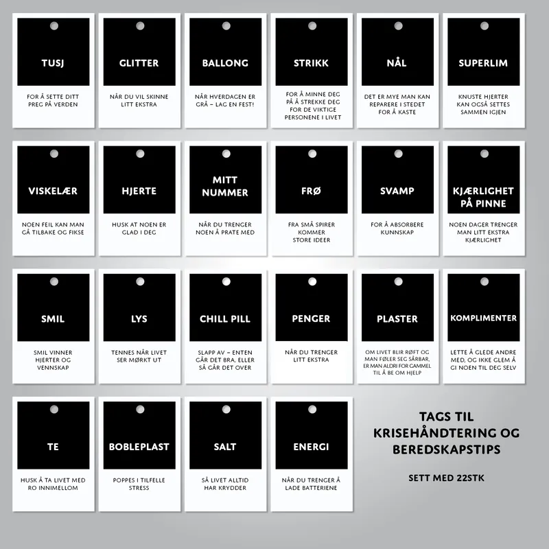 Beredskap og Krisehåndtering - 22 pk